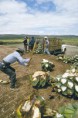 /album/fotogaleria-fotogaleria/mezcal5057-copia-2-jpg/